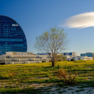 Taller de Fotografía para Equipos