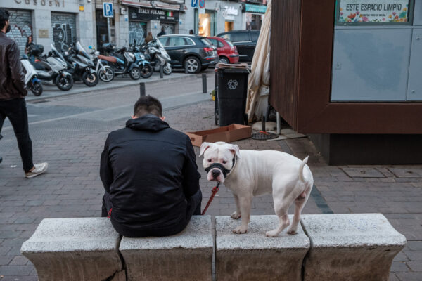 Intensivo Fotografía de Calle