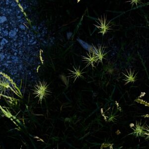 Curso Intensivo de flash de mano con luces combinadas 2026